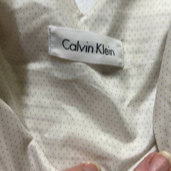 Calvin Klein Striped Cream Dress - Picture 2 of 6